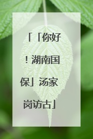 「你好！湖南国保」汤家岗访古