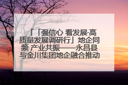 「强信心 看发展·高质量发展调研行」地企同频 产业共振——永昌县与金川集团地企融合推动重大项目建设