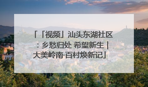 「视频」汕头东湖社区：乡愁归处 希望新生｜大美岭南·百村焕新记