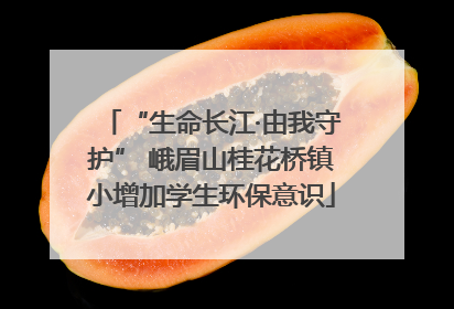“生命长江·由我守护” 峨眉山桂花桥镇小增加学生环保意识