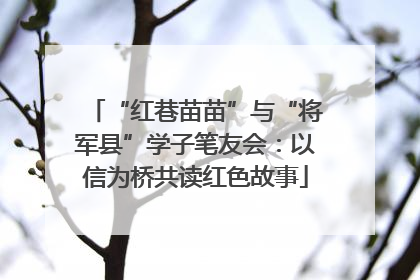 “红巷苗苗”与“将军县”学子笔友会：以信为桥共读红色故事