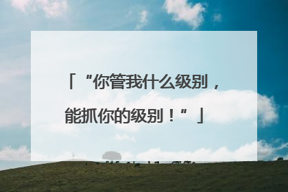 “你管我什么级别，能抓你的级别！”