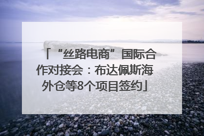 “丝路电商”国际合作对接会：布达佩斯海外仓等8个项目签约