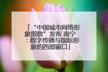 “中国城市网络形象指数”发布 南宁：数字传播与国际形象的西部窗口