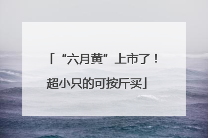 “六月黄”上市了！超小只的可按斤买
