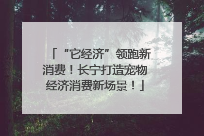 “它经济”领跑新消费！长宁打造宠物经济消费新场景！