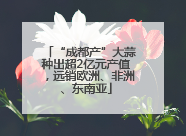 “成都产”大蒜种出超2亿元产值，远销欧洲、非洲、东南亚