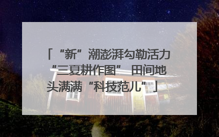 “新”潮澎湃勾勒活力“三夏耕作图” 田间地头满满“科技范儿”