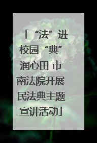 “法”进校园“典”润心田 市南法院开展民法典主题宣讲活动