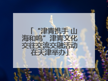 “津青携手 山海和鸣”津青文化交往交流交融活动在天津举办