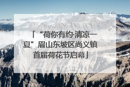 “荷你有约·清凉一夏”眉山东坡区尚义镇首届荷花节启幕