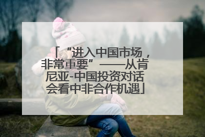 “进入中国市场，非常重要”——从肯尼亚-中国投资对话会看中非合作机遇