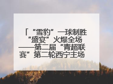 “雪豹”一球制胜 “盛宴”火爆全场——第二届“青超联赛”第二轮西宁主场比赛见闻