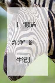 “顺道炸弹”诞生记
