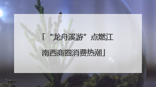 “龙舟溪游”点燃江南西商圈消费热潮