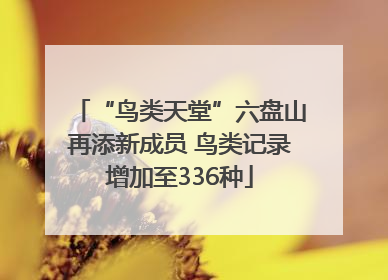 “鸟类天堂”六盘山再添新成员 鸟类记录增加至336种