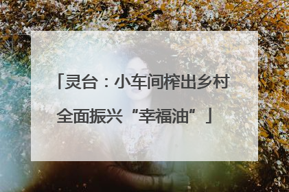 灵台：小车间榨出乡村全面振兴“幸福油”