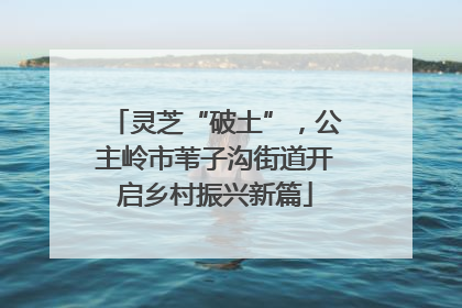 灵芝“破土”，公主岭市苇子沟街道开启乡村振兴新篇