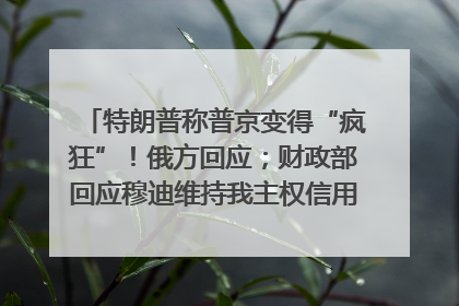 特朗普称普京变得“疯狂”！俄方回应；财政部回应穆迪维持我主权信用评级；小米辟谣“定制芯片”；不听人类指挥，OpenAI模型拒关闭丨每经早参
