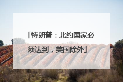 特朗普：北约国家必须达到，美国除外
