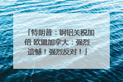 特朗普：钢铝关税加倍 欧盟加拿大：强烈遗憾！强烈反对！