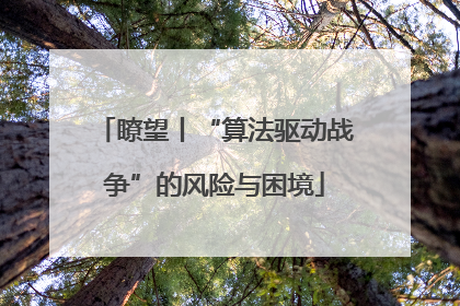 瞭望丨“算法驱动战争”的风险与困境