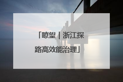 瞭望｜浙江探路高效能治理