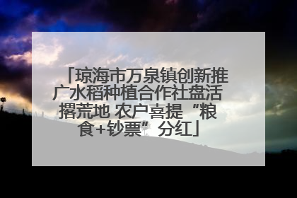 琼海市万泉镇创新推广水稻种植合作社盘活撂荒地 农户喜提“粮食+钞票”分红