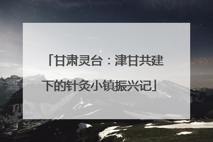 甘肃灵台：津甘共建下的针灸小镇振兴记
