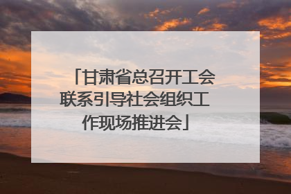 甘肃省总召开工会联系引导社会组织工作现场推进会