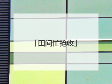 田间忙抢收