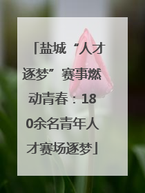 盐城“人才逐梦”赛事燃动青春：180余名青年人才赛场逐梦
