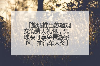 盐城推出苏超观赛消费大礼包，凭球票可享免费游景区、抽汽车大奖