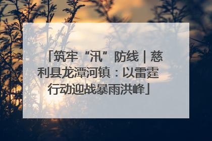 筑牢“汛”防线｜慈利县龙潭河镇：以雷霆行动迎战暴雨洪峰