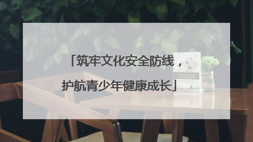 筑牢文化安全防线，护航青少年健康成长