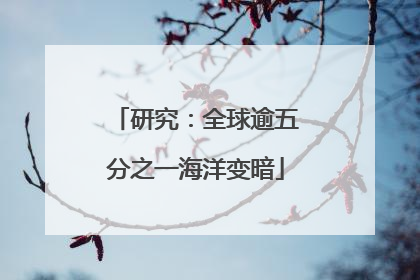 研究：全球逾五分之一海洋变暗