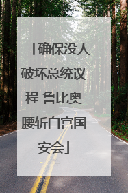 确保没人破坏总统议程 鲁比奥腰斩白宫国安会