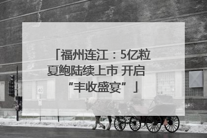 福州连江：5亿粒夏鲍陆续上市 开启“丰收盛宴”