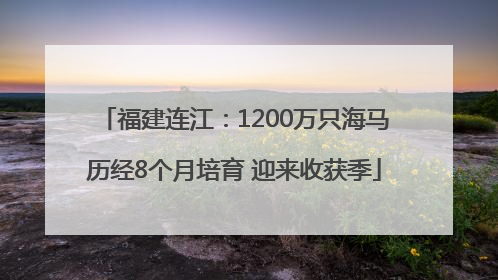 福建连江：1200万只海马历经8个月培育 迎来收获季