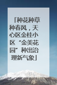 种花种草种春风，天心区金桂小区“金美花园”种出治理新气象