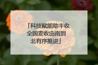 科技赋能助丰收 全国麦收由南到北有序推进