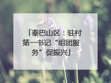 秦巴山区：驻村第一书记“组团服务”促振兴