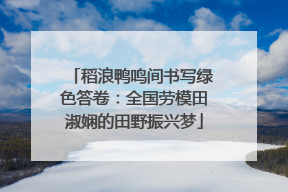 稻浪鸭鸣间书写绿色答卷：全国劳模田淑娴的田野振兴梦