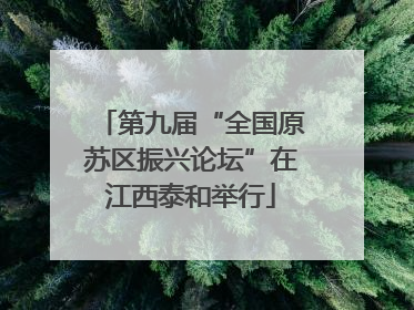 第九届“全国原苏区振兴论坛”在江西泰和举行