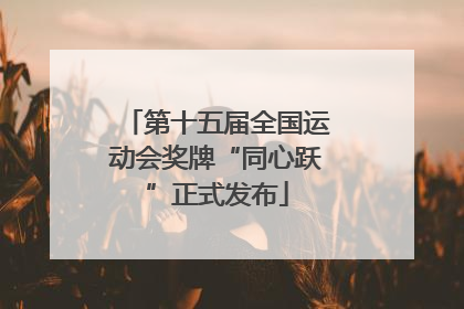 第十五届全国运动会奖牌“同心跃”正式发布