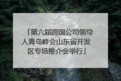 第六届跨国公司领导人青岛峰会山东省开发区专场推介会举行
