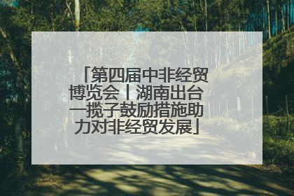 第四届中非经贸博览会丨湖南出台一揽子鼓励措施助力对非经贸发展