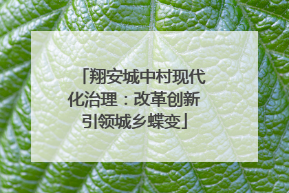 翔安城中村现代化治理：改革创新引领城乡蝶变