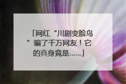 网红“川剧变脸鸟”骗了千万网友！它的真身竟是……