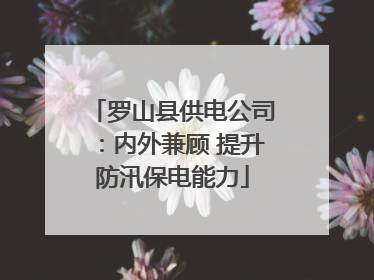 罗山县供电公司：内外兼顾 提升防汛保电能力